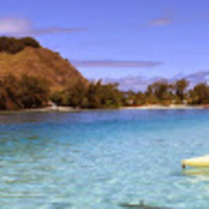 Meet your Posher, Caitlyn